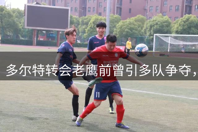 多尔特转会老鹰前曾引多队争夺，湖人热火等队均有意招揽